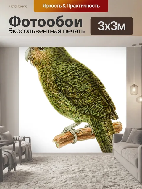 Фотообои Клипарт винтажный попугай