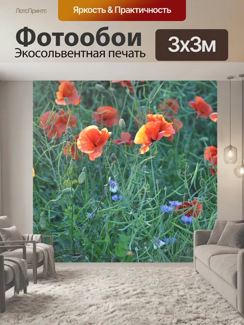Фотообои Маки