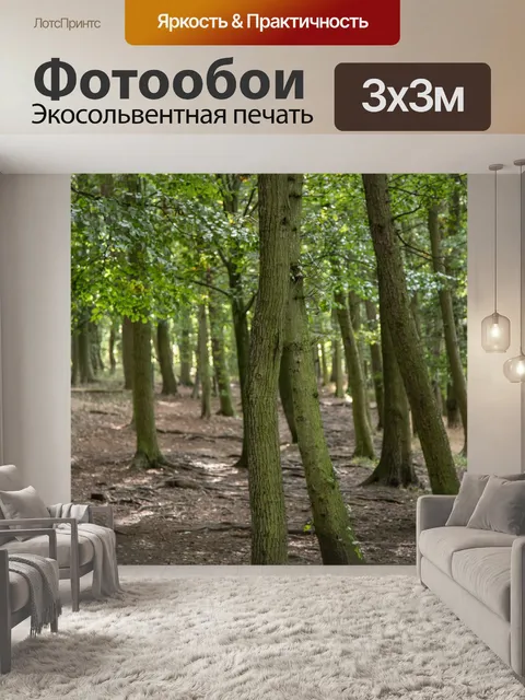 Фотообои лес