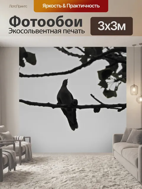 Фотообои Палома