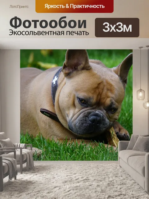 Фотообои Палка