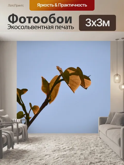 Фотообои Дерево иуды