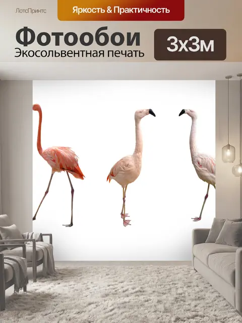 Фотообои Фламинго