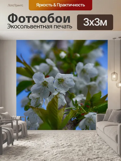 Фотообои Весна