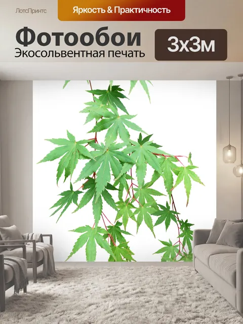 Фотообои Листья