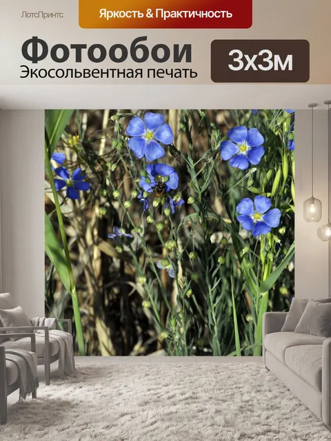 Фотообои Фиолетовые полевые цветы