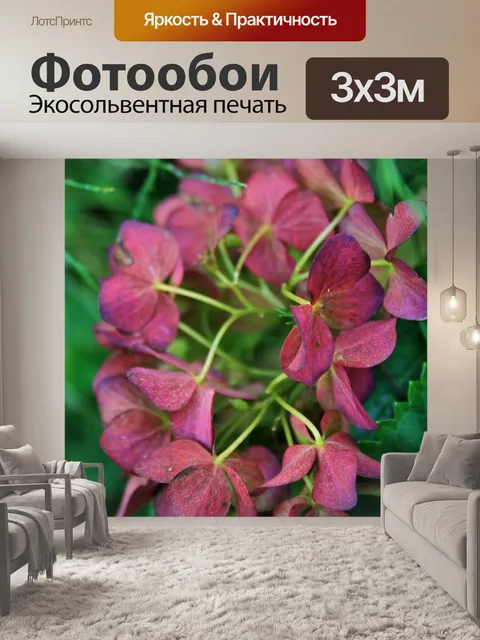 Фотообои обесцвеченными гортензии осенью