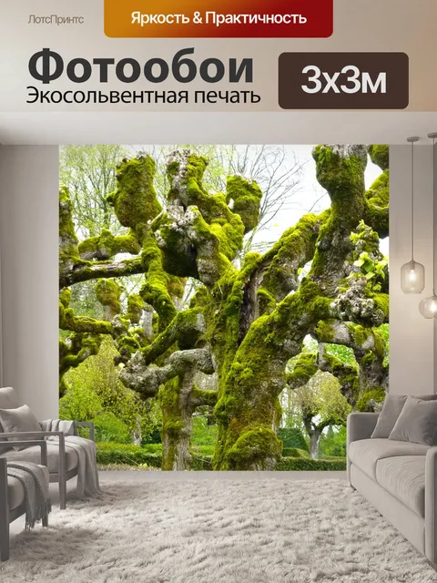Фотообои Лаймовое дерево