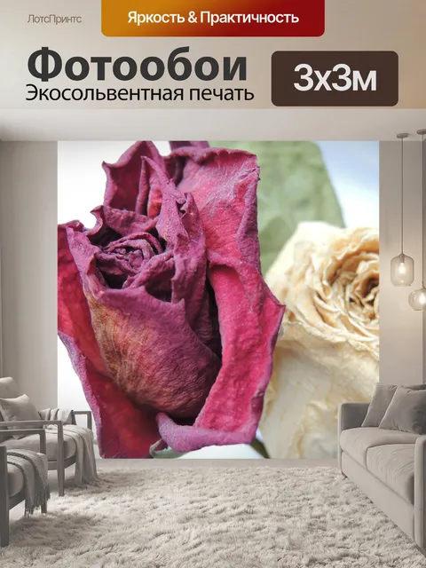 Фотообои Розы