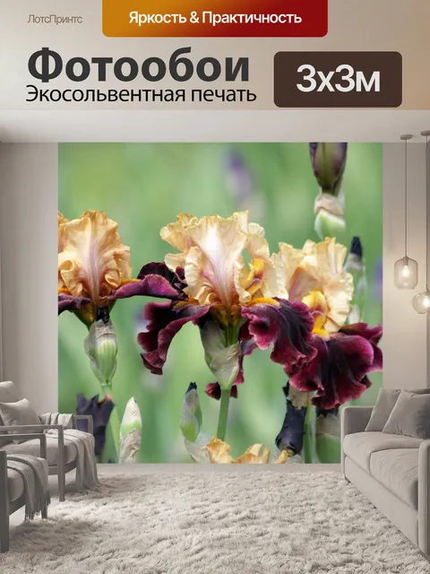 Фотообои Ирисы