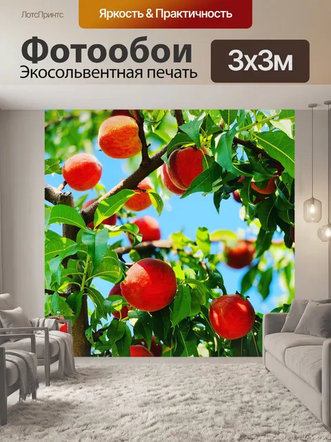 Фотообои Фрукты