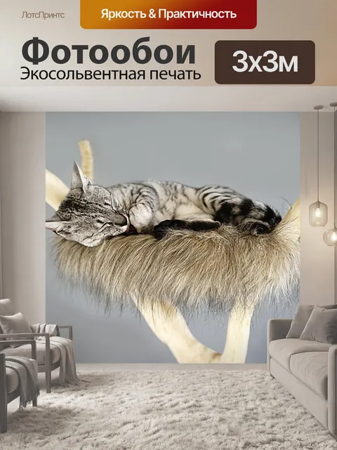 Фотообои Кошка