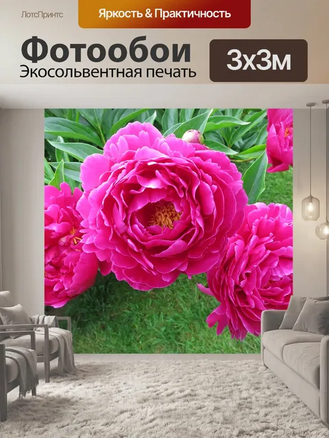Фотообои Пионы