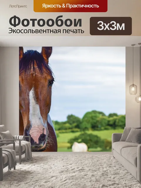 Фотообои Животное