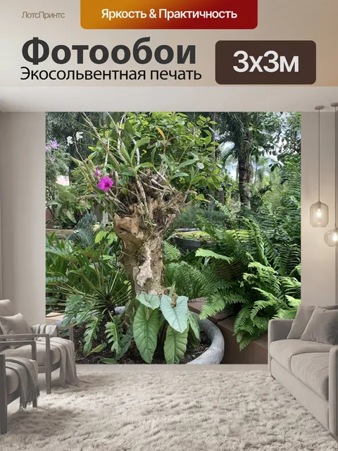 Фотообои Орхидеи