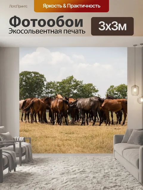 Фотообои Лошадь