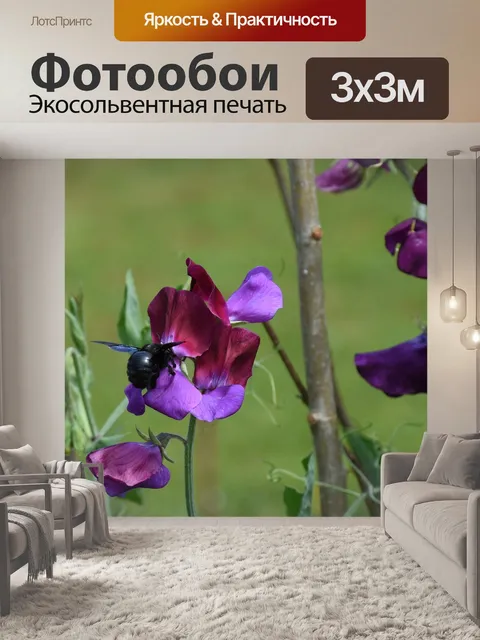 Фотообои Горошек
