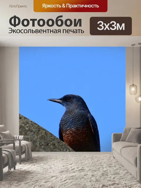 Фотообои Животное