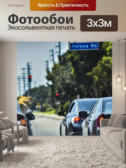 Фотообои Собака в автомобиле