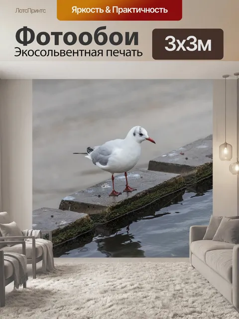 Фотообои Птица