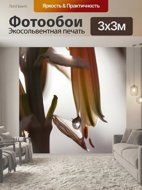 Фотообои Цветок