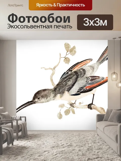 Фотообои Винтажный рисунок колибри