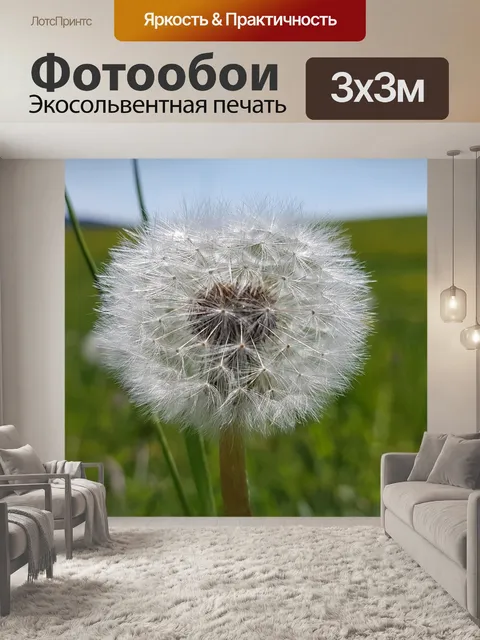 Фотообои Одуванчик