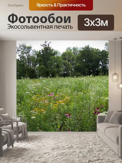 Фотообои Полевые цветы в поле