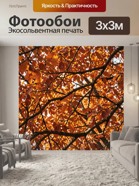 Фотообои Осенние листья на ветвях