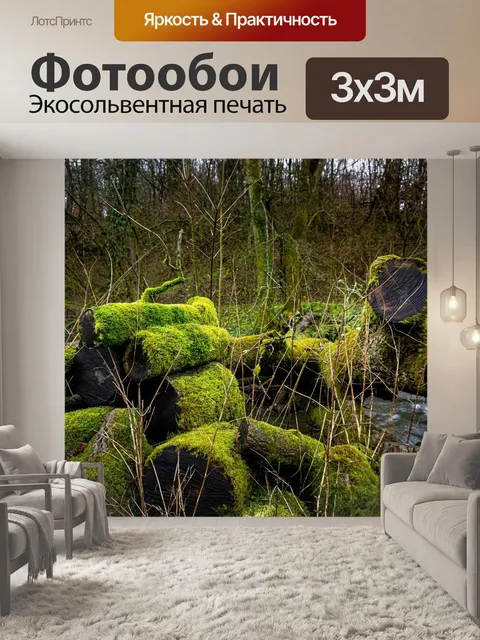 Фотообои Русло реки