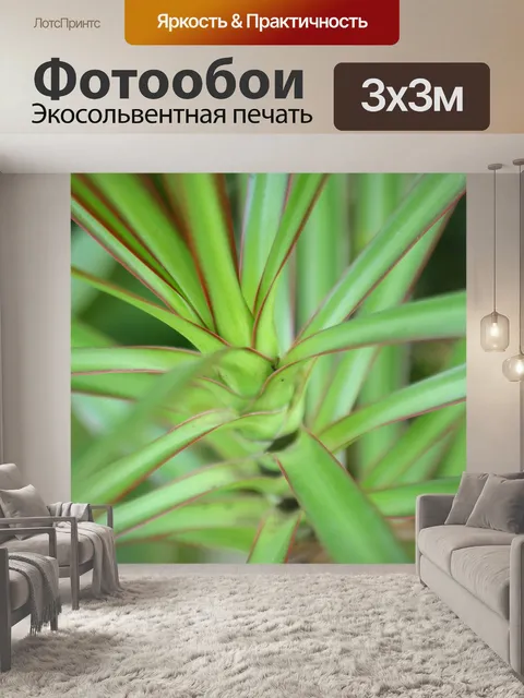 Фотообои Листья