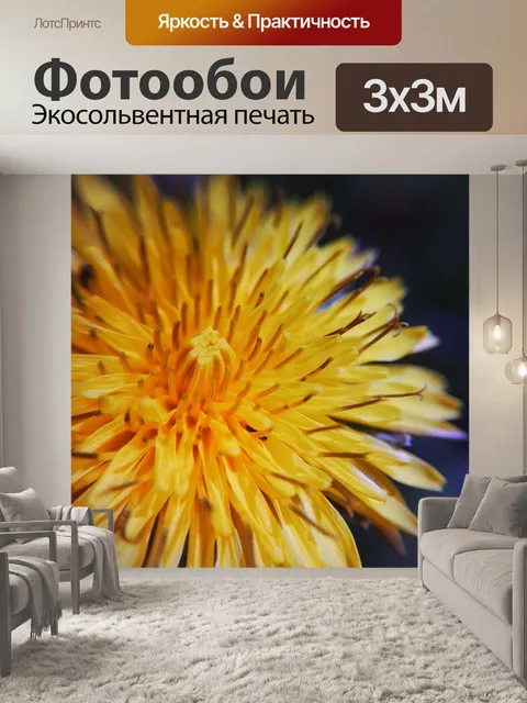 Фотообои Одуванчик