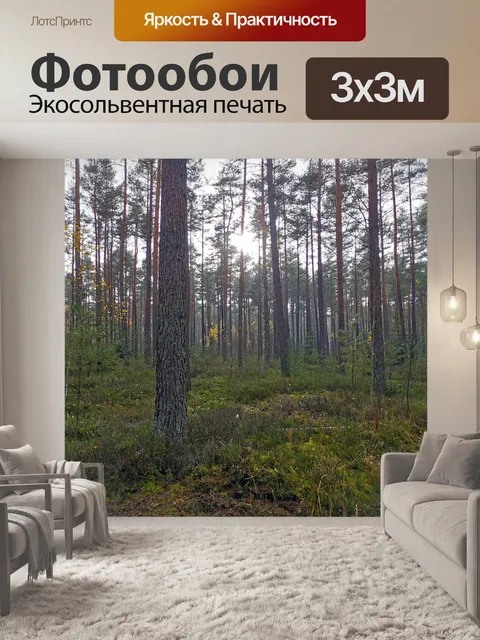 Фотообои Лес