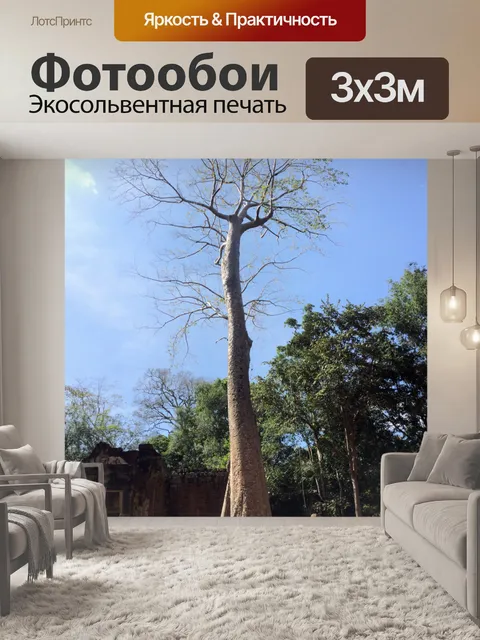 Фотообои Высокое дерево