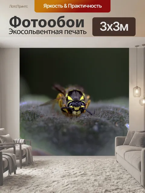 Фотообои Цветок