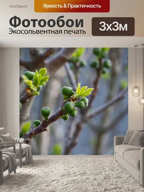 Фотообои Фрукты