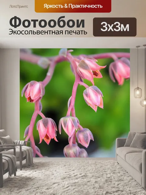Фотообои Розовые цветы