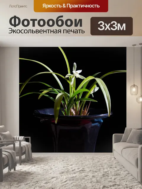 Фотообои Цветы