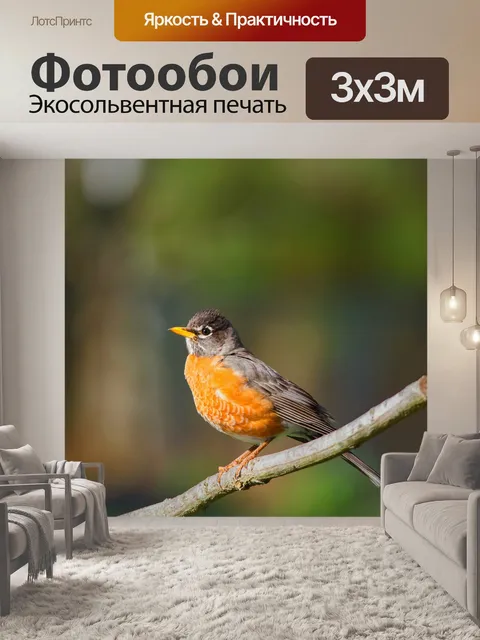 Фотообои Птицы