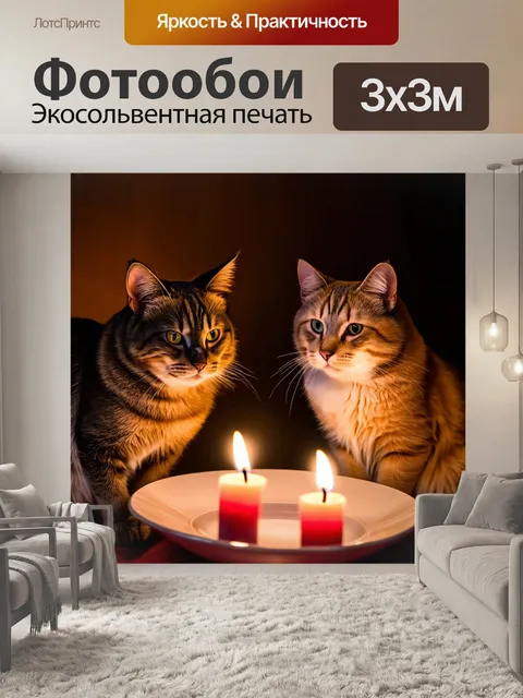 Фотообои кошки на романтическом свидании при свечах