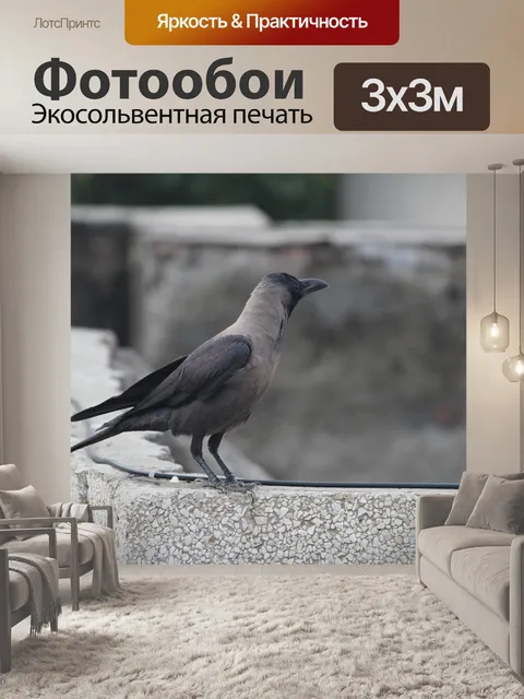 Фотообои Ворона