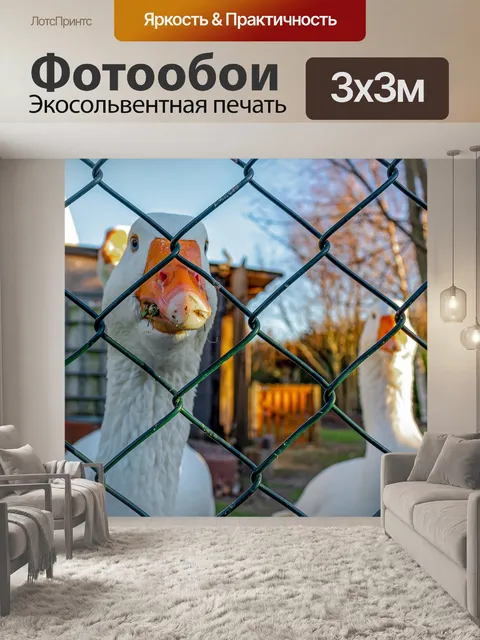 Фотообои Гуси