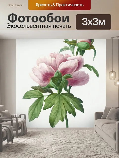 Фотообои Цветочный пион vintage art