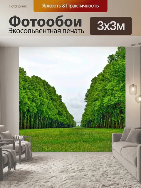 Фотообои Перспектива