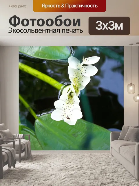 Фотообои Боярышник