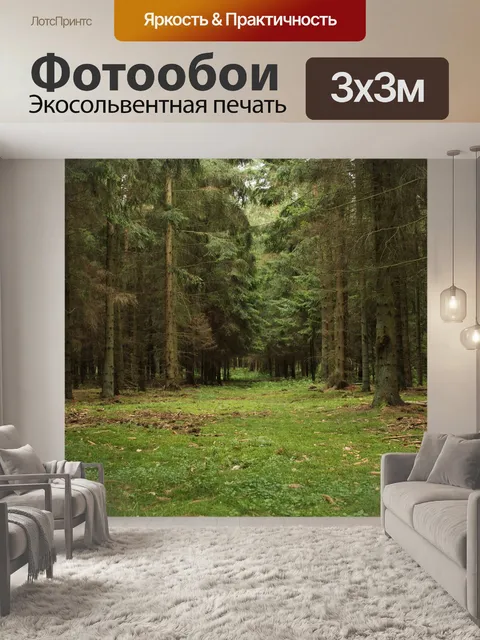 Фотообои Лес