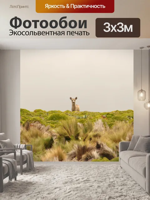 Фотообои Дикий