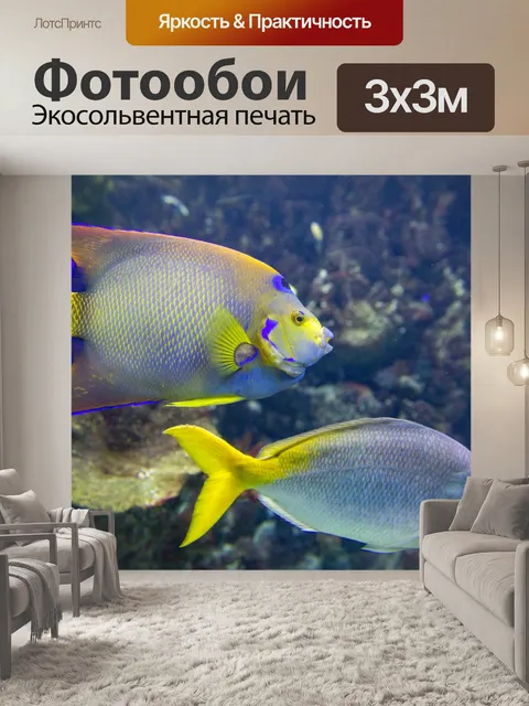 Фотообои Тропические рыбы под водой