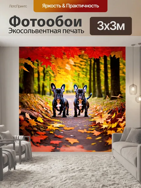 Фотообои щенки французского бульдога, исследующие лесную тропинку, обрамленную многоцветными осенними листьями