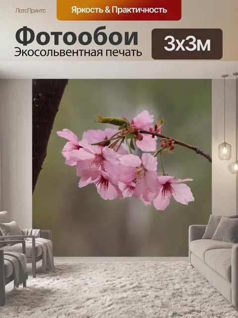 Фотообои Природа